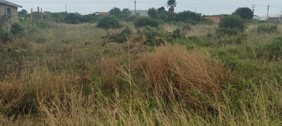 0 Bedroom Property for Sale in Colchester Eastern Cape